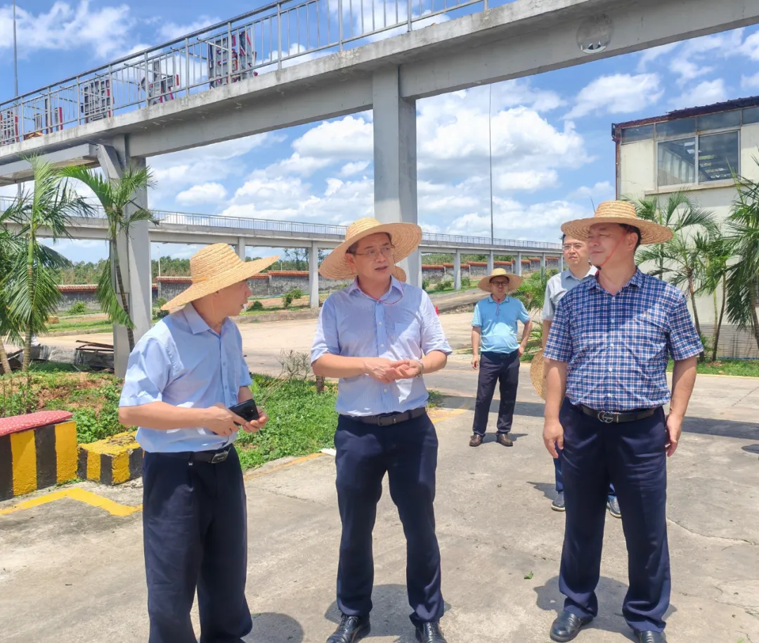 1726197102142046633.jpg 1726197102142046633.jpg